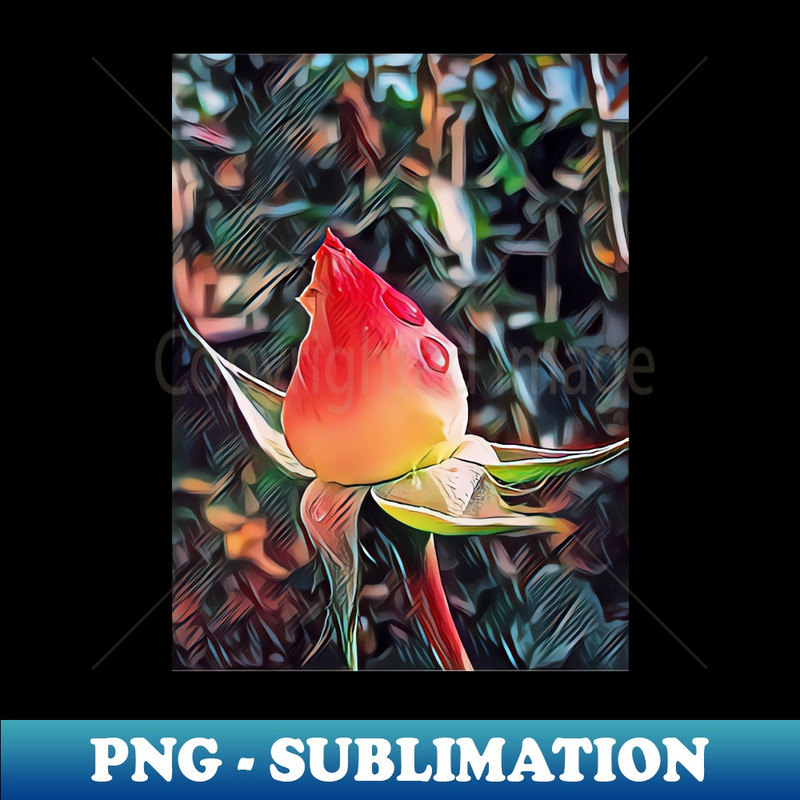 QW-912_A Roses Tears 3851.jpg