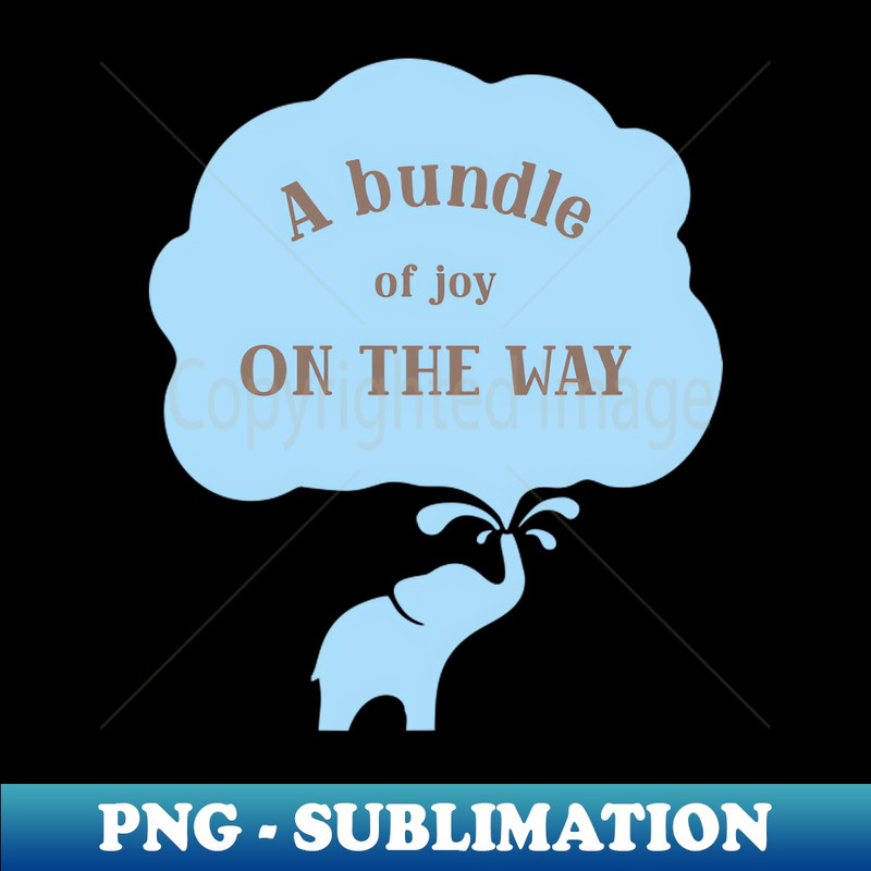 RF-531_A Bundle of Joy on the Way 1434.jpg