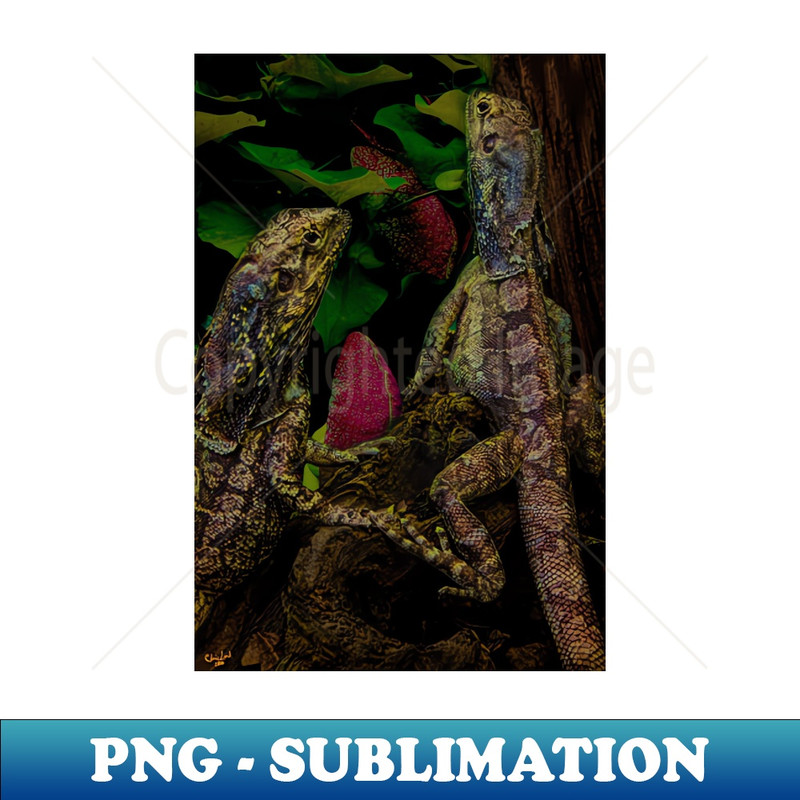 RO-35809_The Lizard Kings 1149.jpg