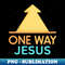 RT-27110_One Way Jesus Christian 7327.jpg