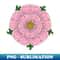 RW-28219_Pink Heraldic Rose 9972.jpg