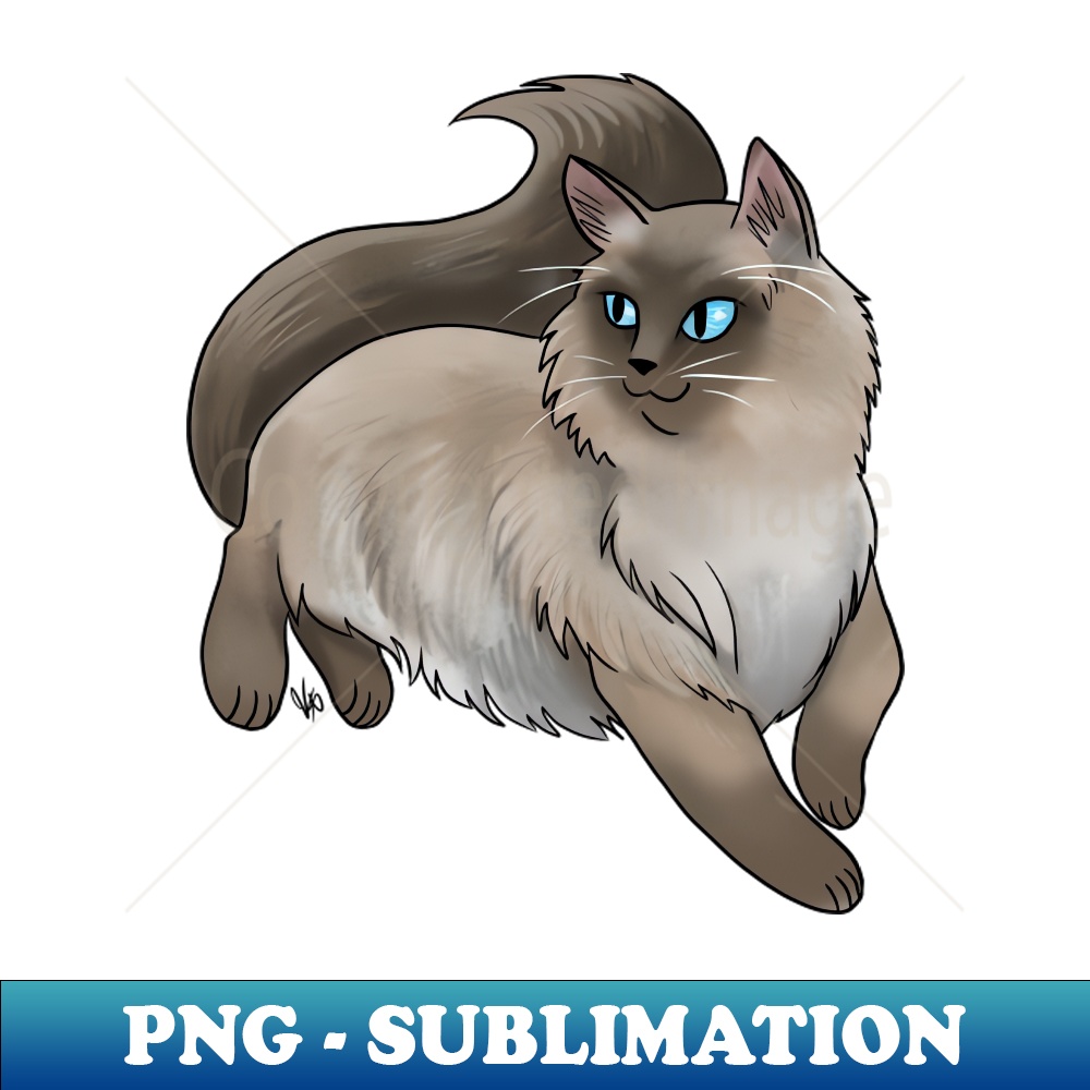 SA-6821_Cat - Ragdoll - Seal Point 3181.jpg