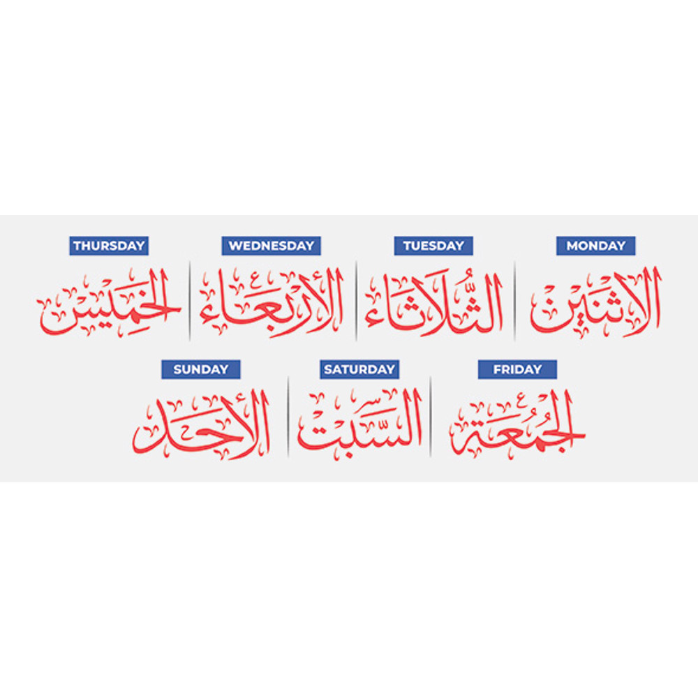 Image Preview.jpg