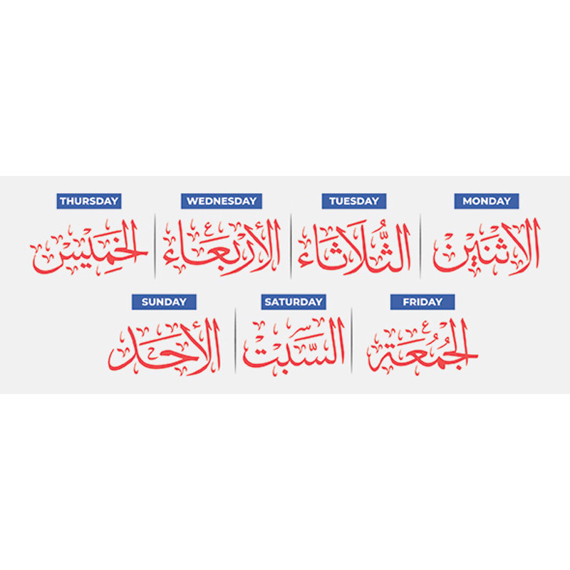 Image Preview.jpg