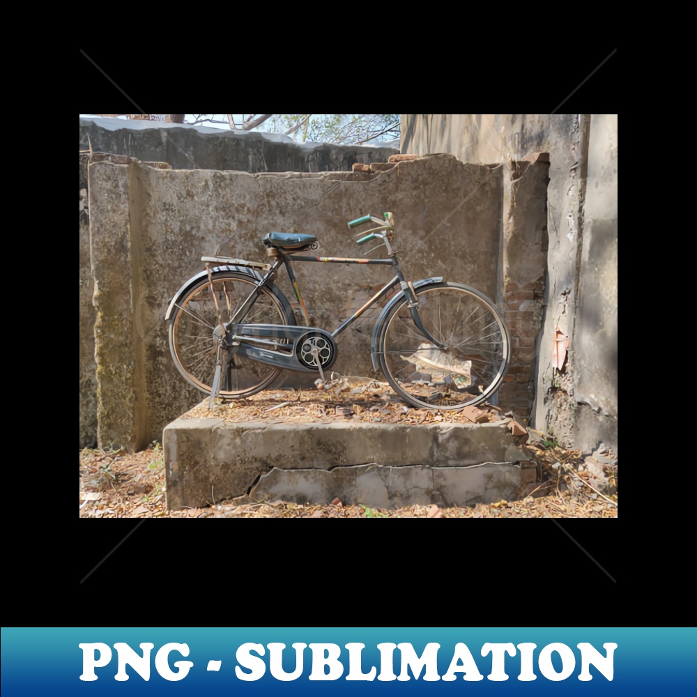 SC-1056_Abandoned cycle 9208.jpg