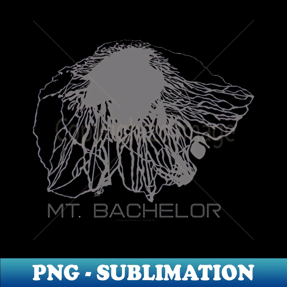 SL-25451_Mt Bachelor Resort 3D 9331.jpg