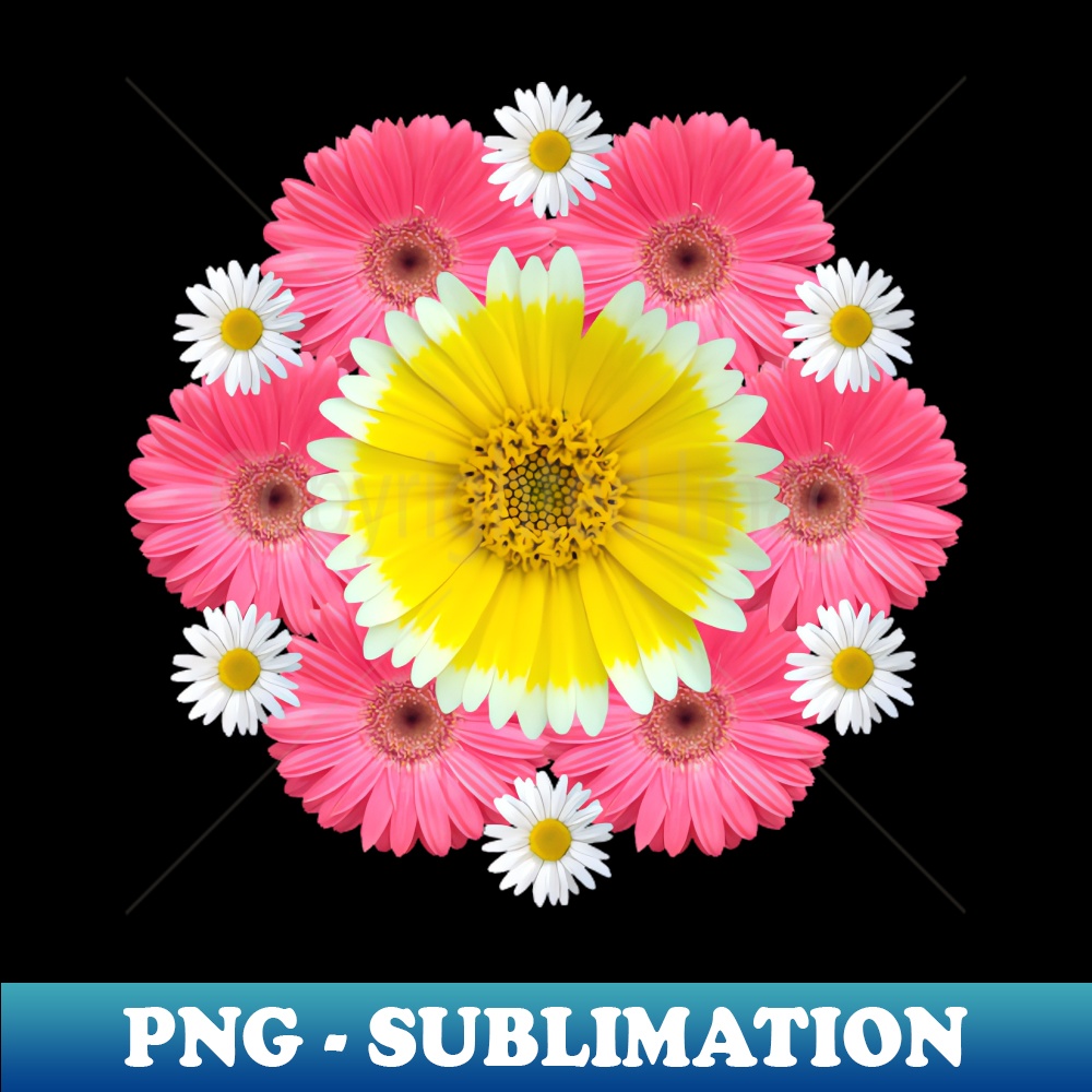 SP-15380_gerbera blossoms flower daisies flowery bloom 9631.jpg