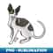 SV-6804_Cat - Cornish Rex - Black and White 3073.jpg