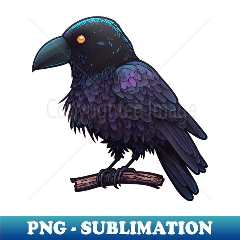 TH-3995_Beautiful Crow with purple tones 8518.jpg