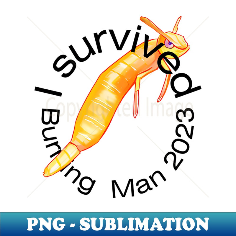 TI-18963_I survived burning man 3991.jpg
