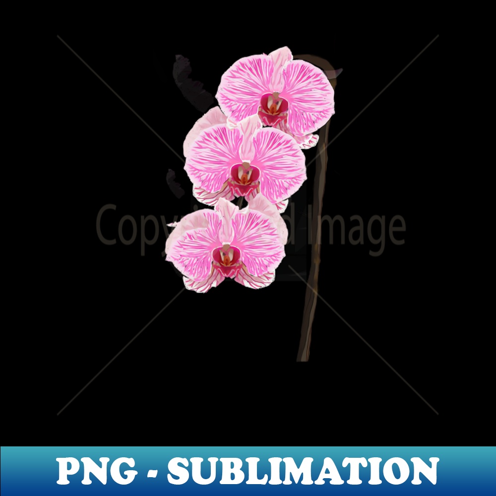 TV-17015_Hand Drawn Star Flowers 2011.jpg