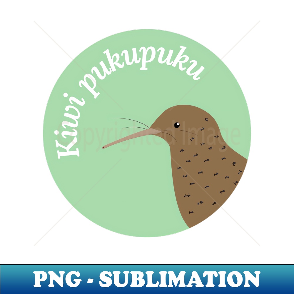 TY-26281_New Zealand Bird Kiwi Pukupuku Little Spotted Kiwi 2770.jpg