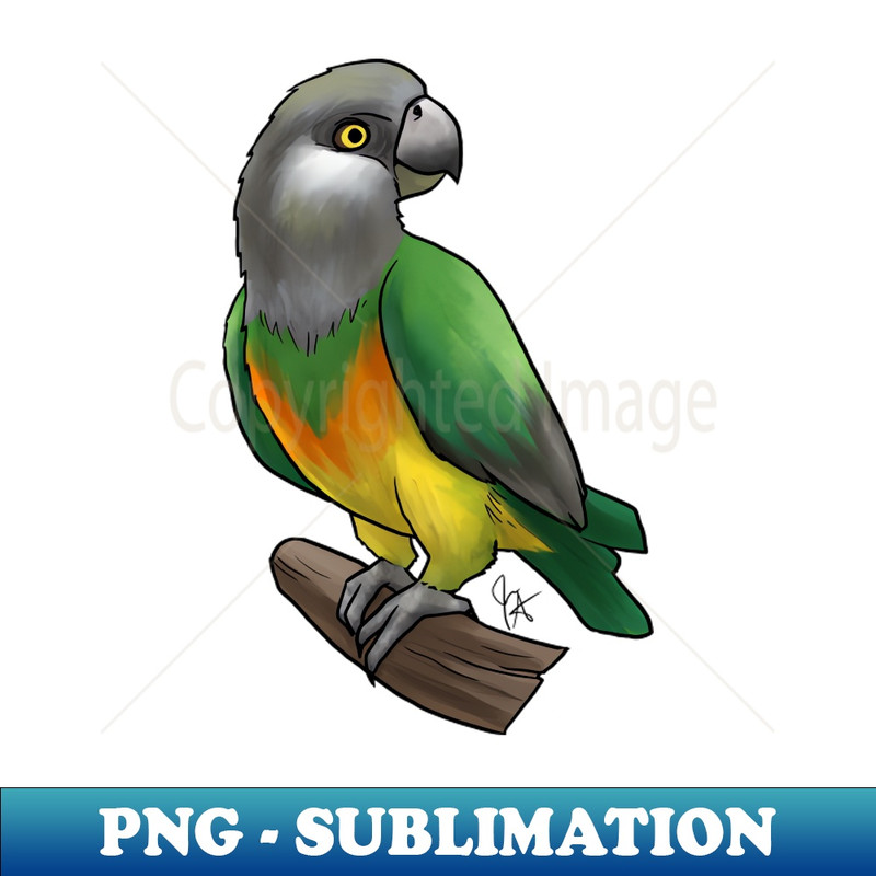 TZ-4618_Bird - Senegal Parrow - Yellow Bellied 3309.jpg