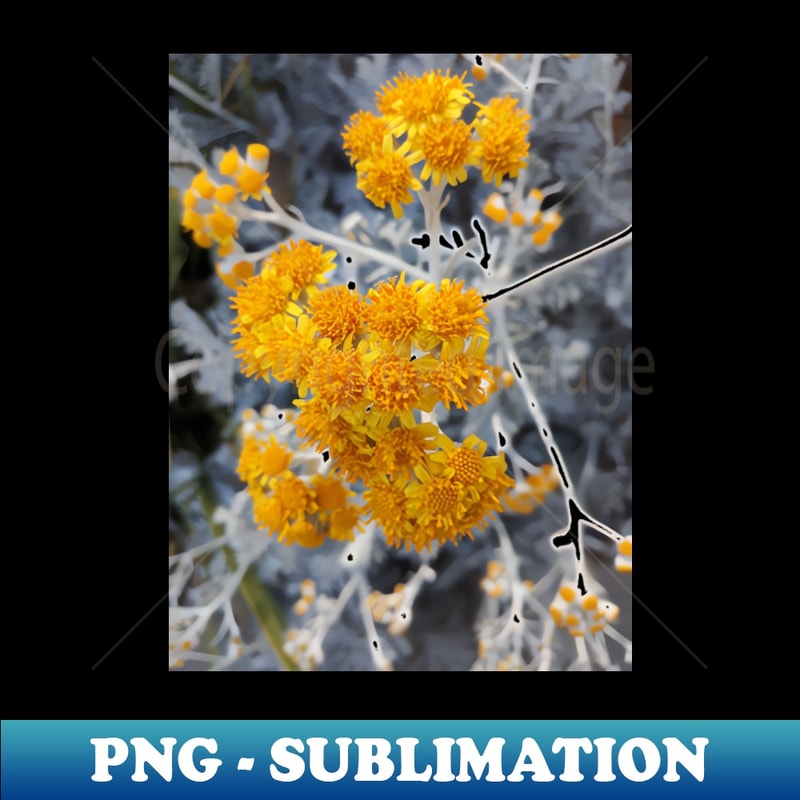 UI-40194_Yellow Unique Photography My 2722.jpg