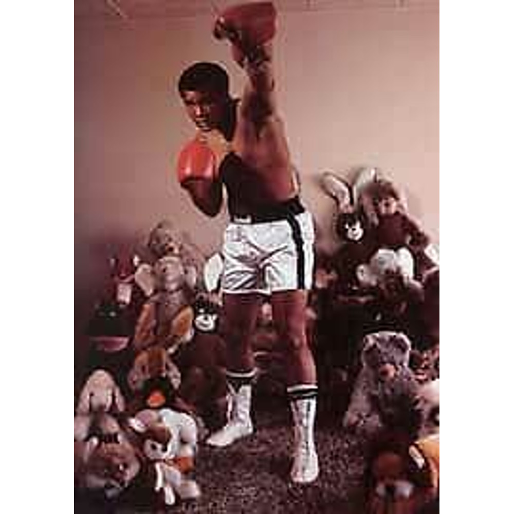 Charles Paul Wilp - Original Edition 500 - Motif Muhammed Ali 02ChampionBoxerTeddy BearsPhotographyVintageStampedDigital PrintPoster.jpg