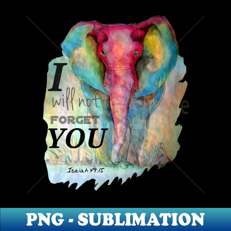 UR-12713_Elephant I will not forget 7913.jpg