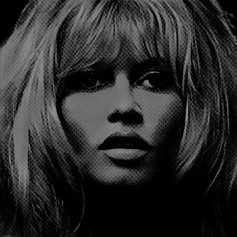 Motif Brigitte Bardot Black & Grew up to 150 x 150 cm modelfashionportraitcanvas printXXL printXXL formatsAlu DibondSilverAluPop Art.jpg