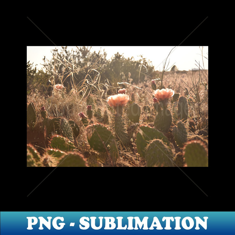 VB-2574_Arches Cacti Flowers 5489.jpg