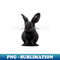 VD-4802_Black Bunny 1119.jpg