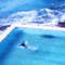 Swimming Pool Club 01 water air drop drone photography up to 150x200 acrylic glasscanvasposterXXL printAlu DibondSilverAluPop Art.jpg