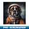VO-2841_Astro Dog - Boxer 4735.jpg