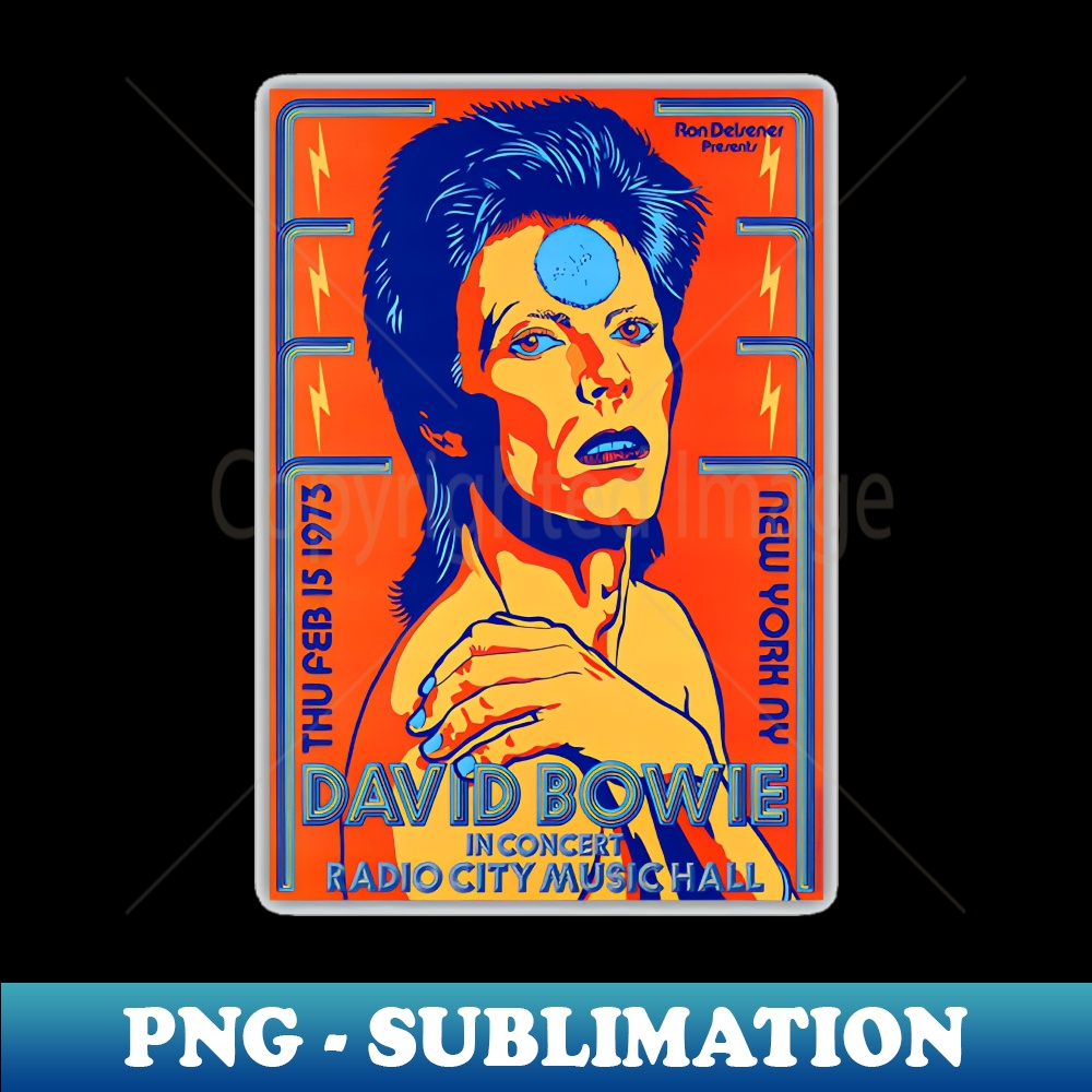 WH-10680_DAVID BOWIE IN CONCERT 2419.jpg