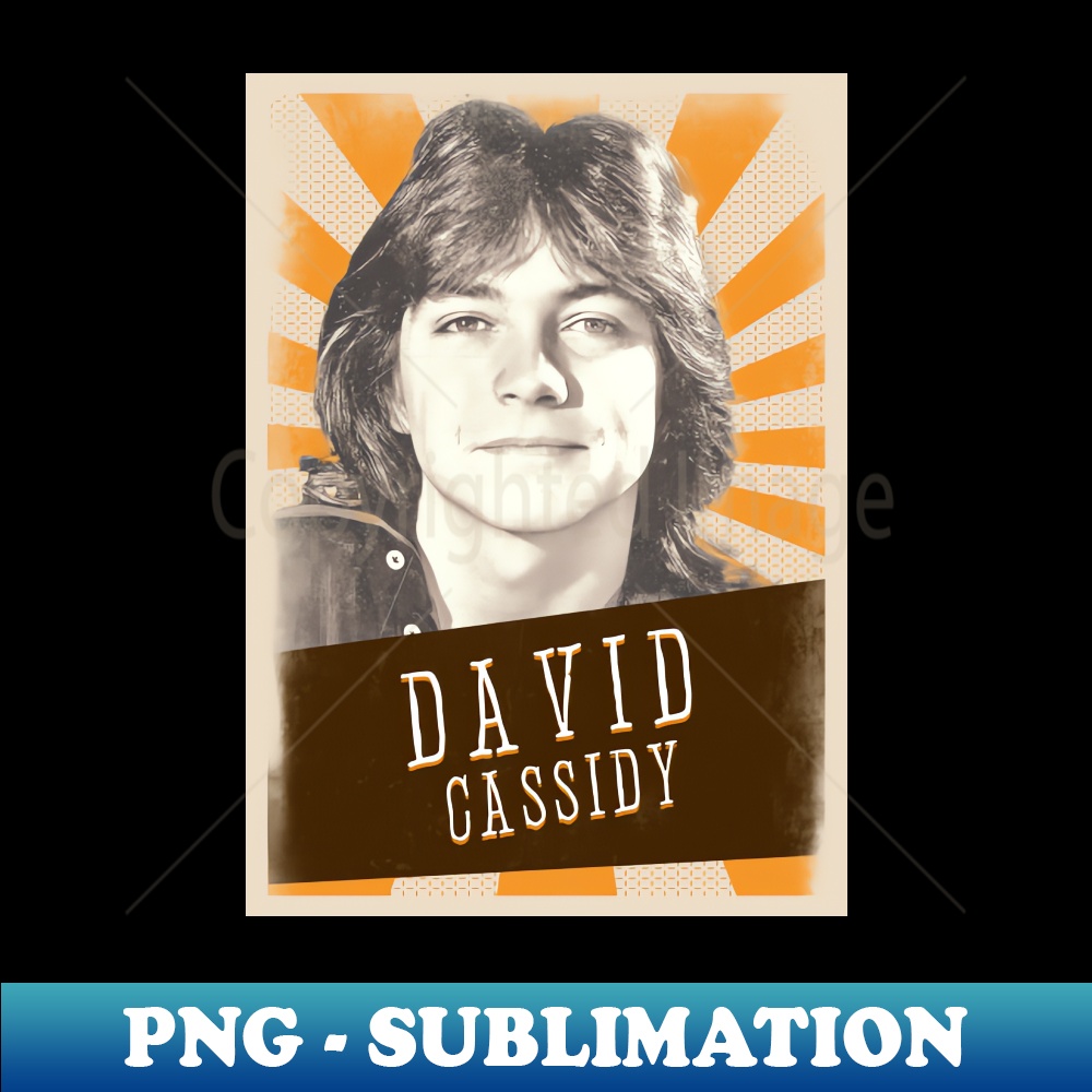 WX-38139_Vintage Aesthetic David Cassidy 80s 4481.jpg