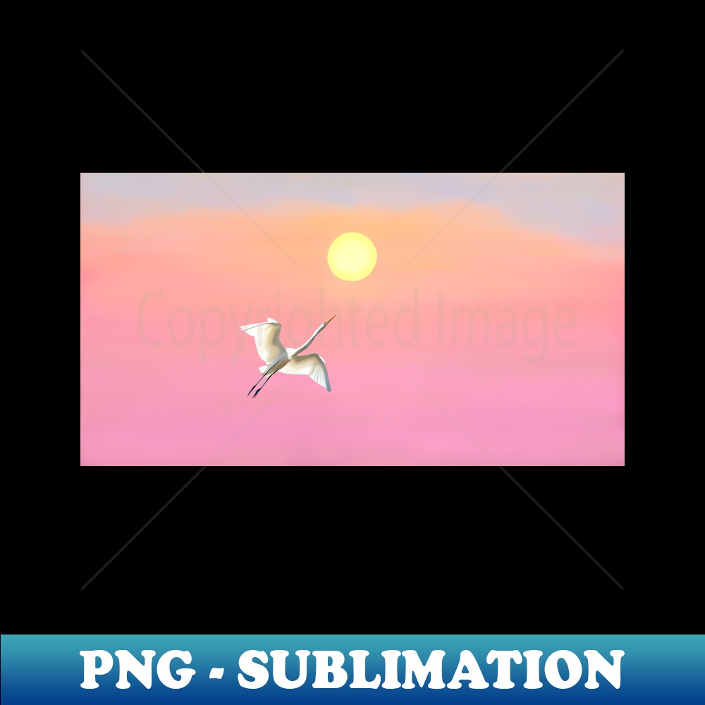 XH-16322_Great White Egret Catching The Sun 8085.jpg