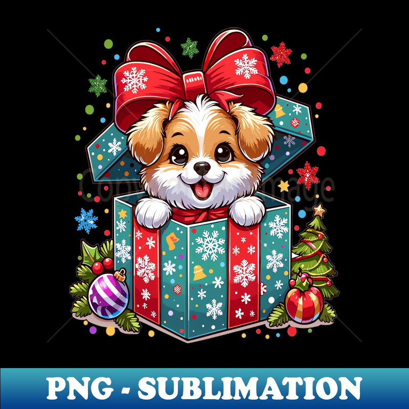 XN-11668_Dog in a gift box 4783.jpg