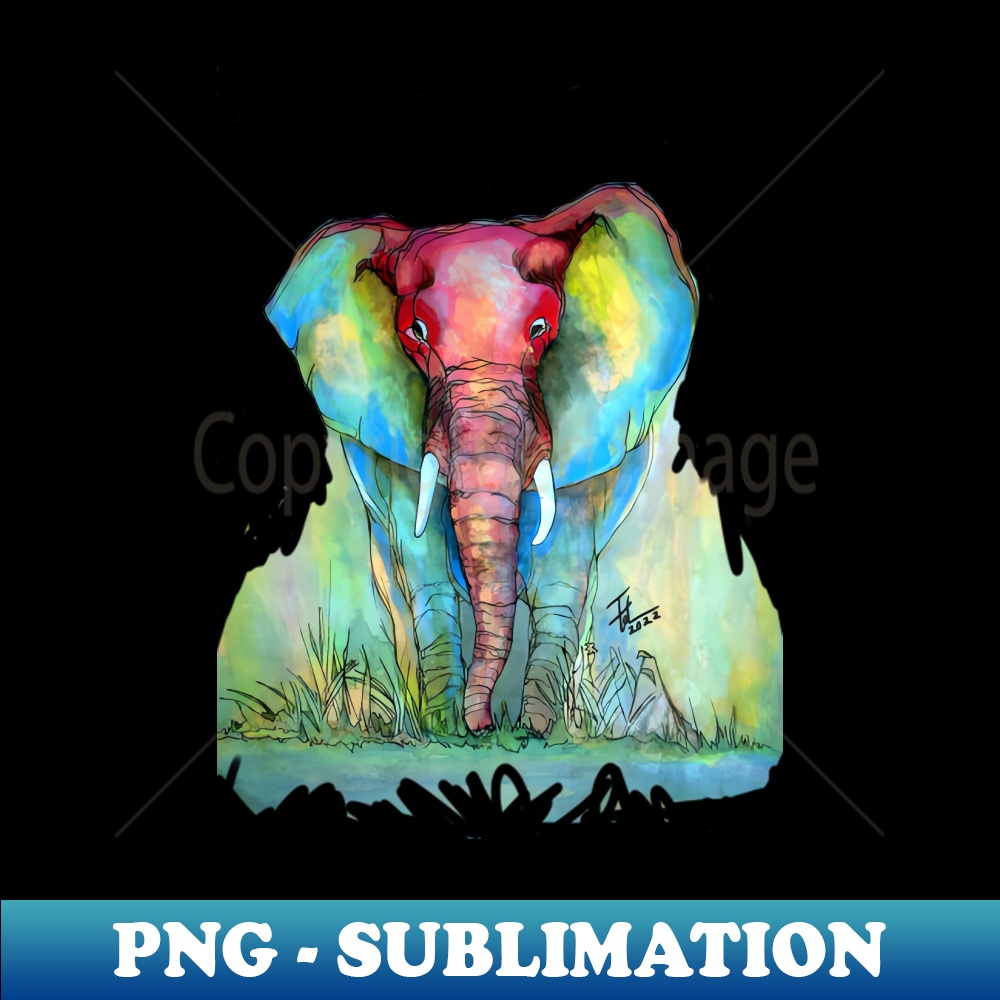 XY-40390_Young elephant 9372.jpg