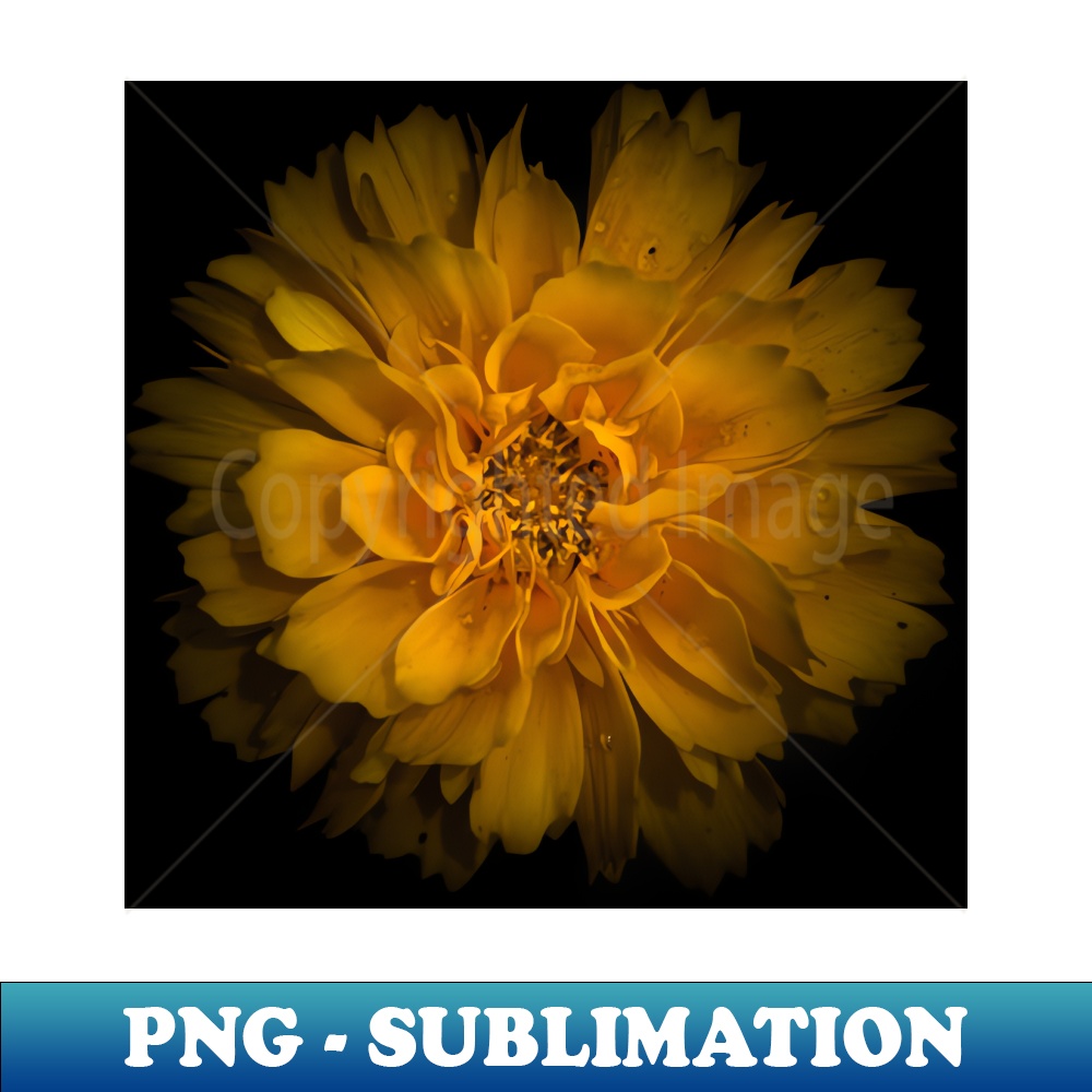 YH-3319_Backyard Flowers 79 Color Version 8506.jpg