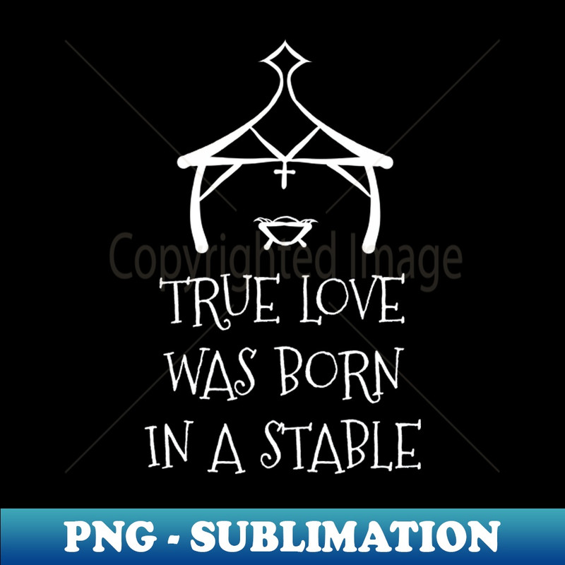 YM-37275_True Love Was Born In a Stable Shirt Christian Christmas Tshirt Jesus Holiday Gift Funny Christmas Party Tee 1462.jpg