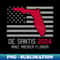 YP-11011_Desantis For President In 2024 - Florida American Flag 6061.jpg