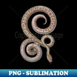 python vintage snake reptile scientific drawing - png transparent sublimation file - perfect for sublimation art