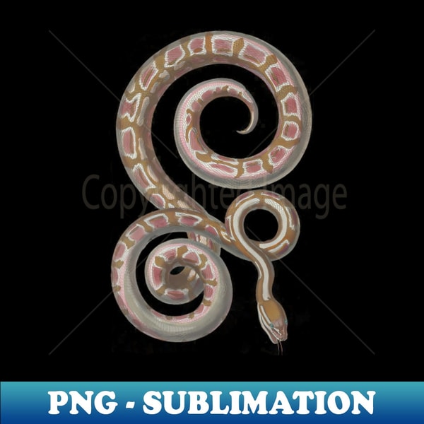 python vintage retro by mangobanana in 2024 | retro... Python Vintage Snake Reptile Scientific Drawing - PNG Transp | Inspire ...