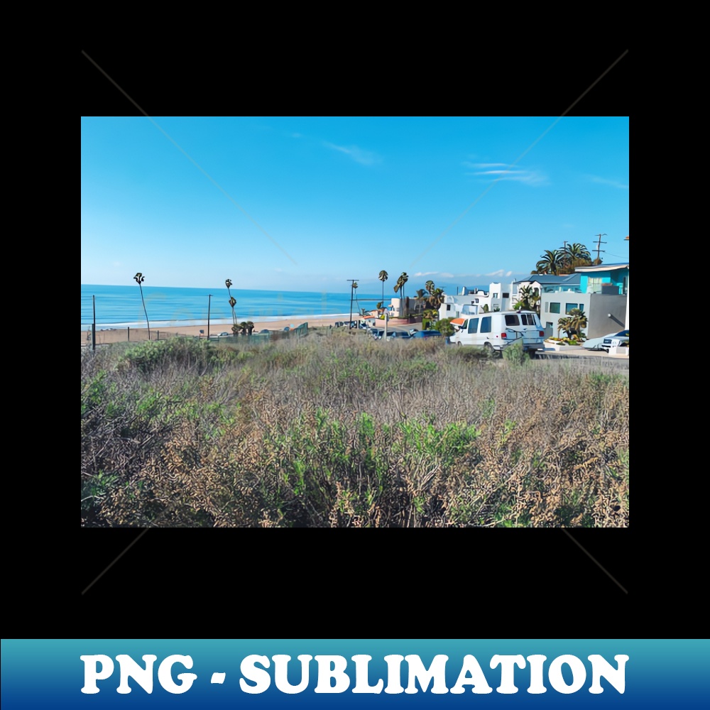 ZE-16272_Grassy patch by California beachside 2886.jpg