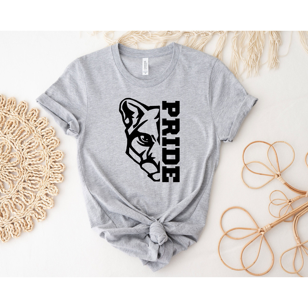 Custom School Mascot Shirt, Panthers High School Team Shirt, Favorite School Team Shirt, School Spirit Shirt, Teacher Student Matching Shirt.jpg