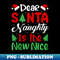 AO-8529_Dear Santa Naughty Is The New Nice Xmas Pajamas 0118.jpg