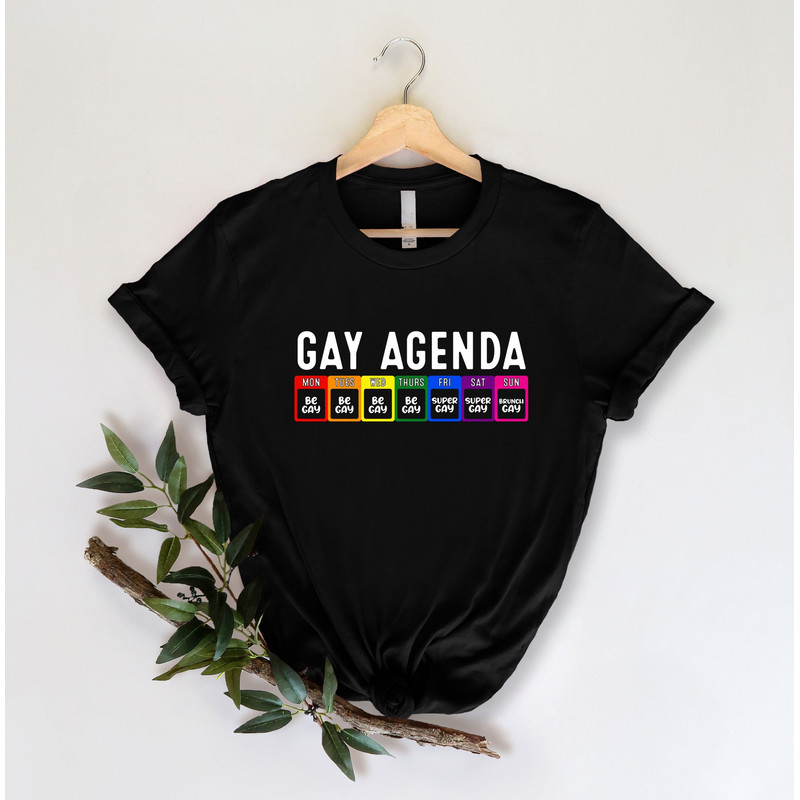 Gay Agenda Shirt, Funny LGBTQ Shirt, Gay Pride Shirt, Rainbow Shirt, Pride Month Gift, Equality Shirt, LGBTQ Pride Shirt, Gay T-Shirt.jpg