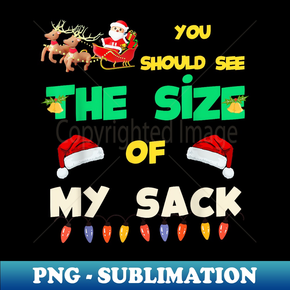 AU-31202_You Should See The Size Of My Sack Funny Santa 0523.jpg