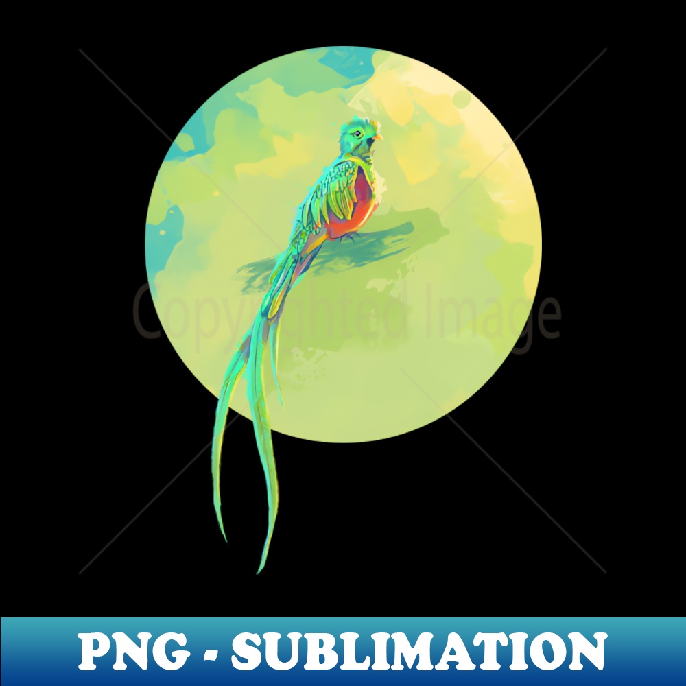 AZ-23391_Resplendent Quetzal - digital bird illustration 8487.jpg