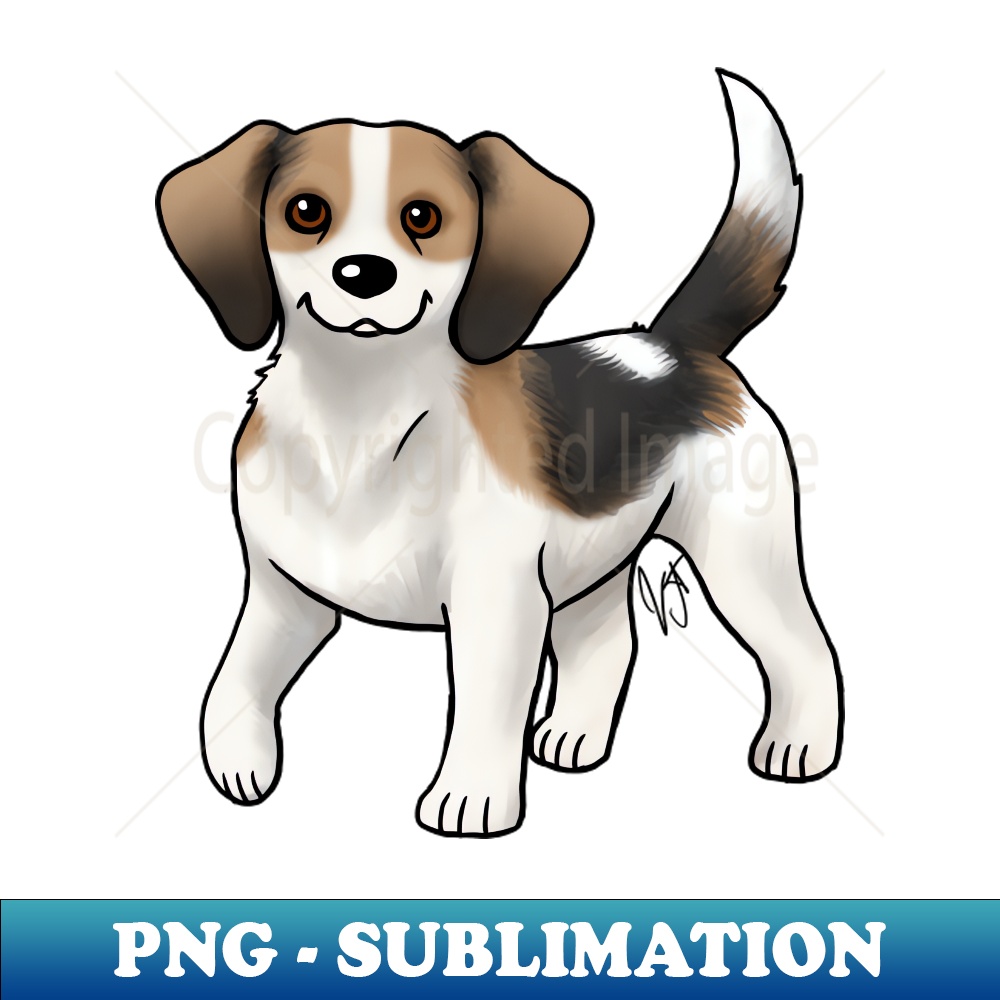 CE-9148_Dog - Queen Elizabeth Pocket Beagle - White Tan and Black 2415.jpg