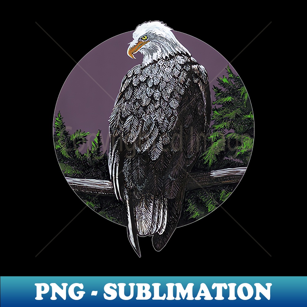 DE-2891_Bald eagle looking over shoulder 4653.jpg