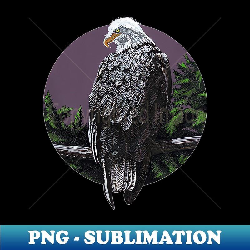 DE-2891_Bald eagle looking over shoulder 4653.jpg