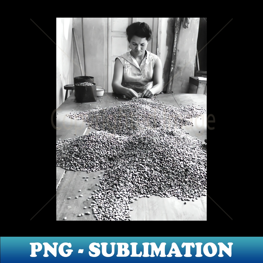 DV-29728_Vintage photo of woman sorting coffee 1116.jpg