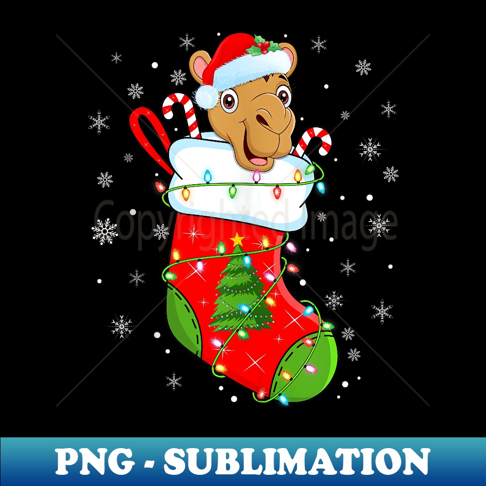 DW-11340_Funny Camel In Christmas Socks Santa Lights Xmas  0057.jpg