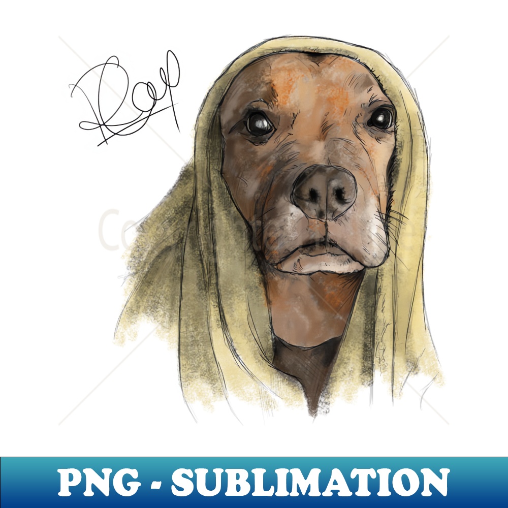 DX-26162_Staffy - Frank Under Blanket - No1 8196.jpg