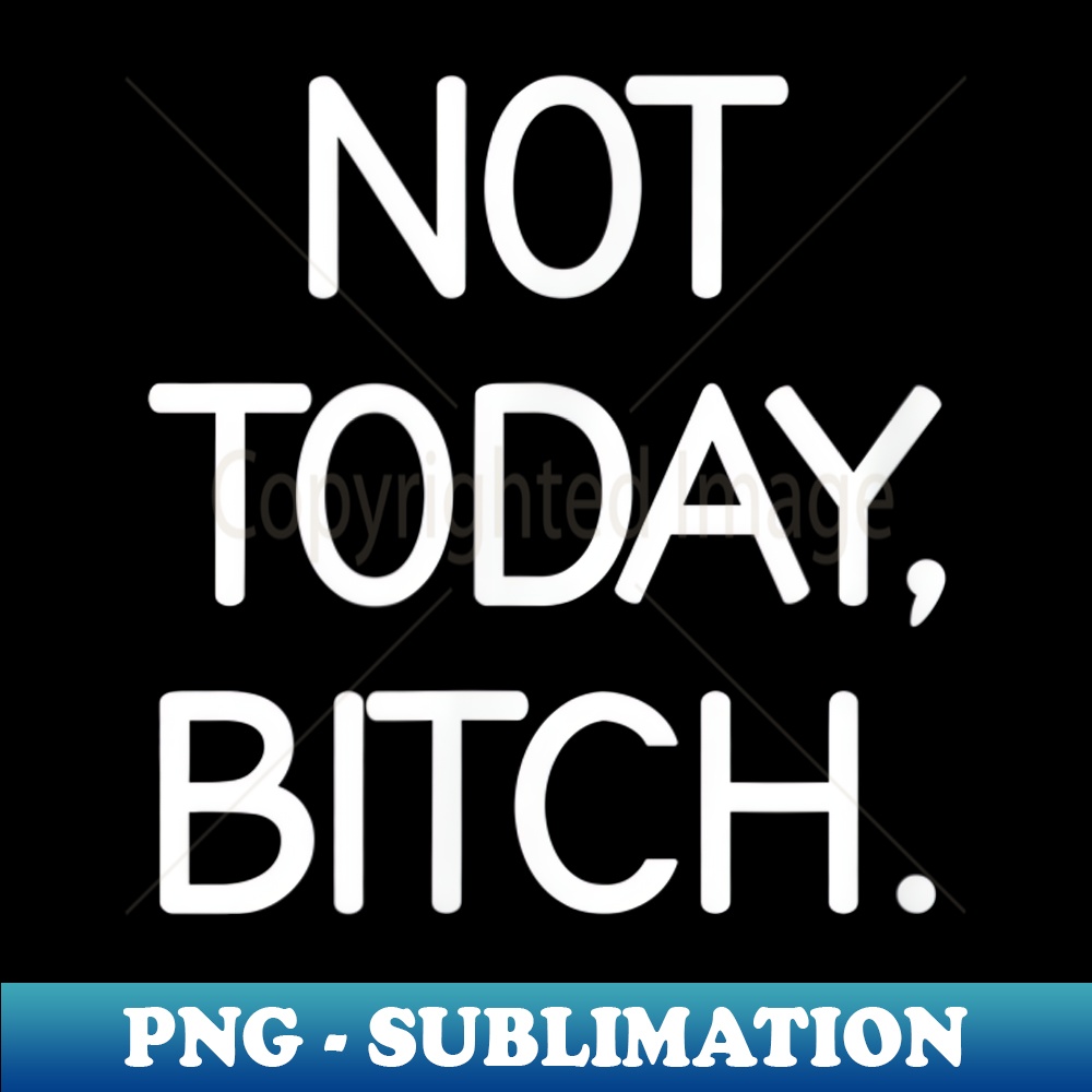 EM-20885_Not Today Bitch, Sarcastic, Funny, Joke, Family 0482.jpg