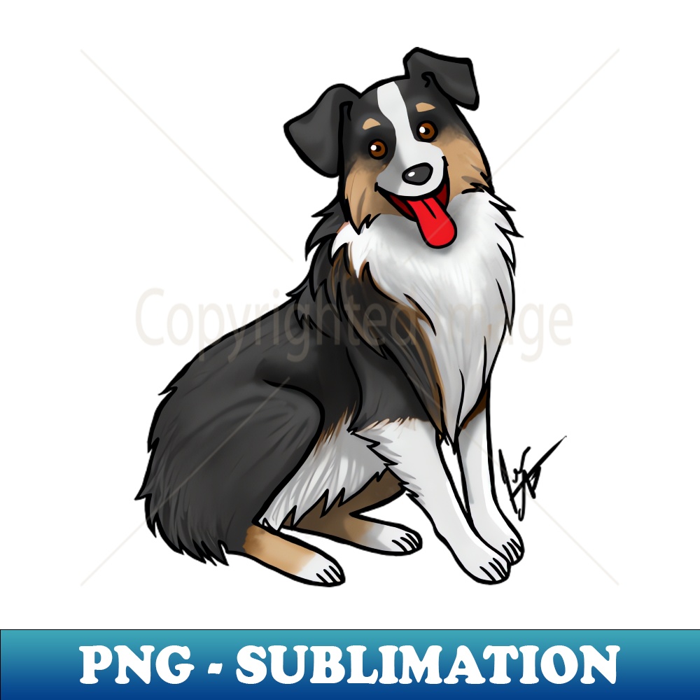 EQ-9062_Dog - Australian Shepherd - Tri-color Black 3081.jpg