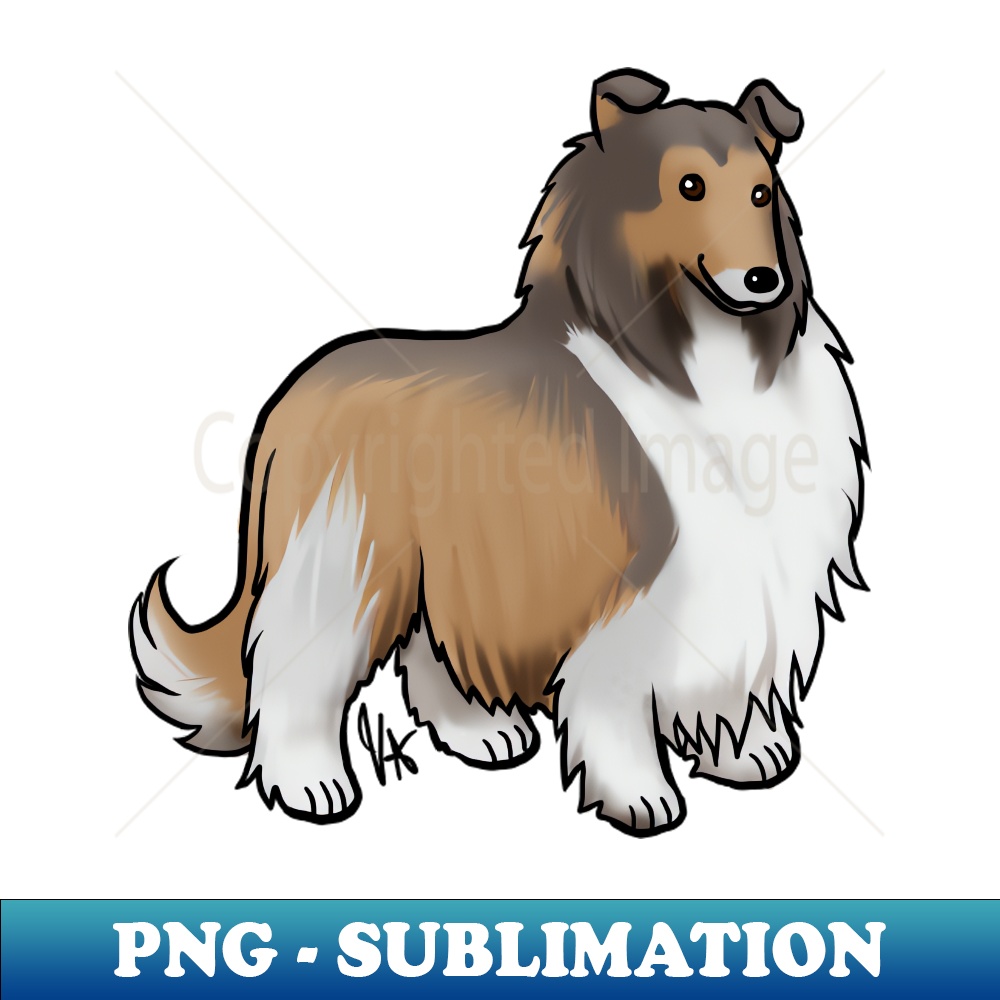 EX-9152_Dog - Rough Collie - Sable 6314.jpg